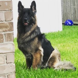 Meet your Posher, Meredith